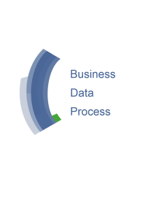 Business Data Process