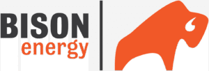 Bison Png