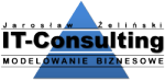 It Consulting